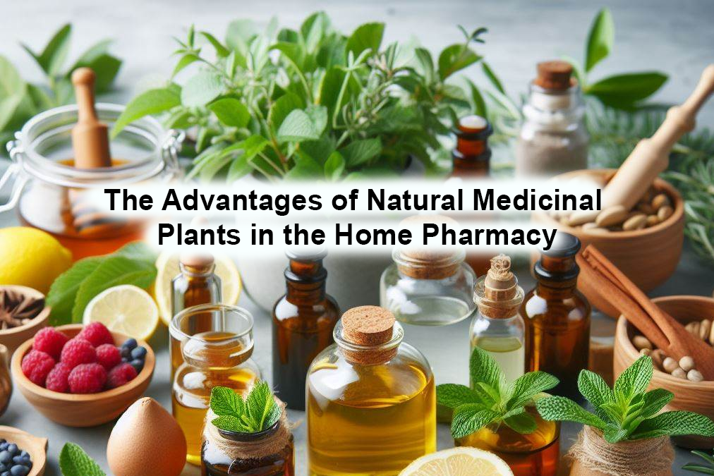 The Advantages of Natural Medicinal Plants in the Home Pharmacy