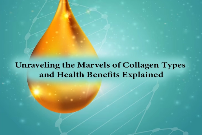Unraveling the Marvels of Collagen: Types and Health Benefits Explained