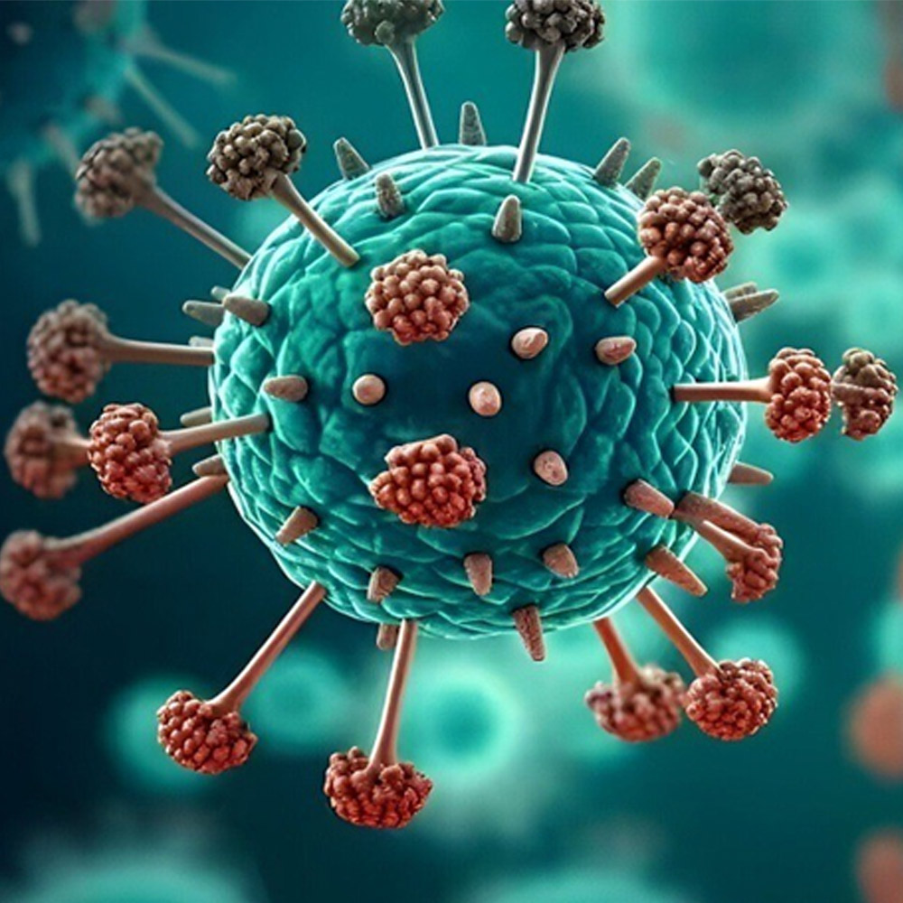 Human Metapneumovirus (hMPV) Treatment